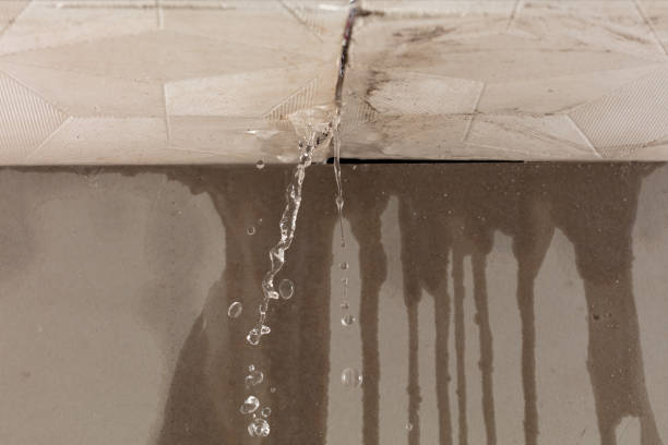 Professional Flood Damage Cleanup technician working in Avoca, NE
